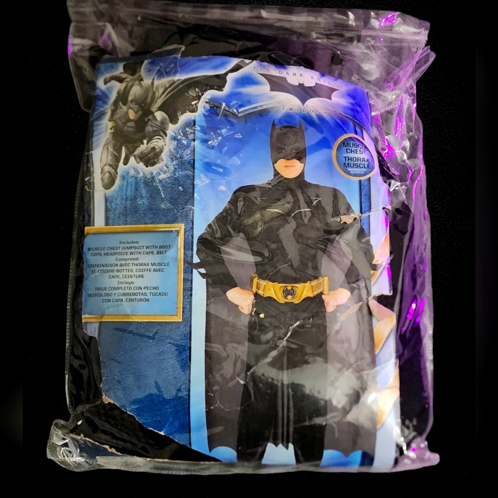 Officially Licensed Batman Dark Knight Kid's Halloween Costume